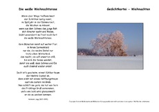 Die-weiße-Weihnachtsrose-Lingg.pdf